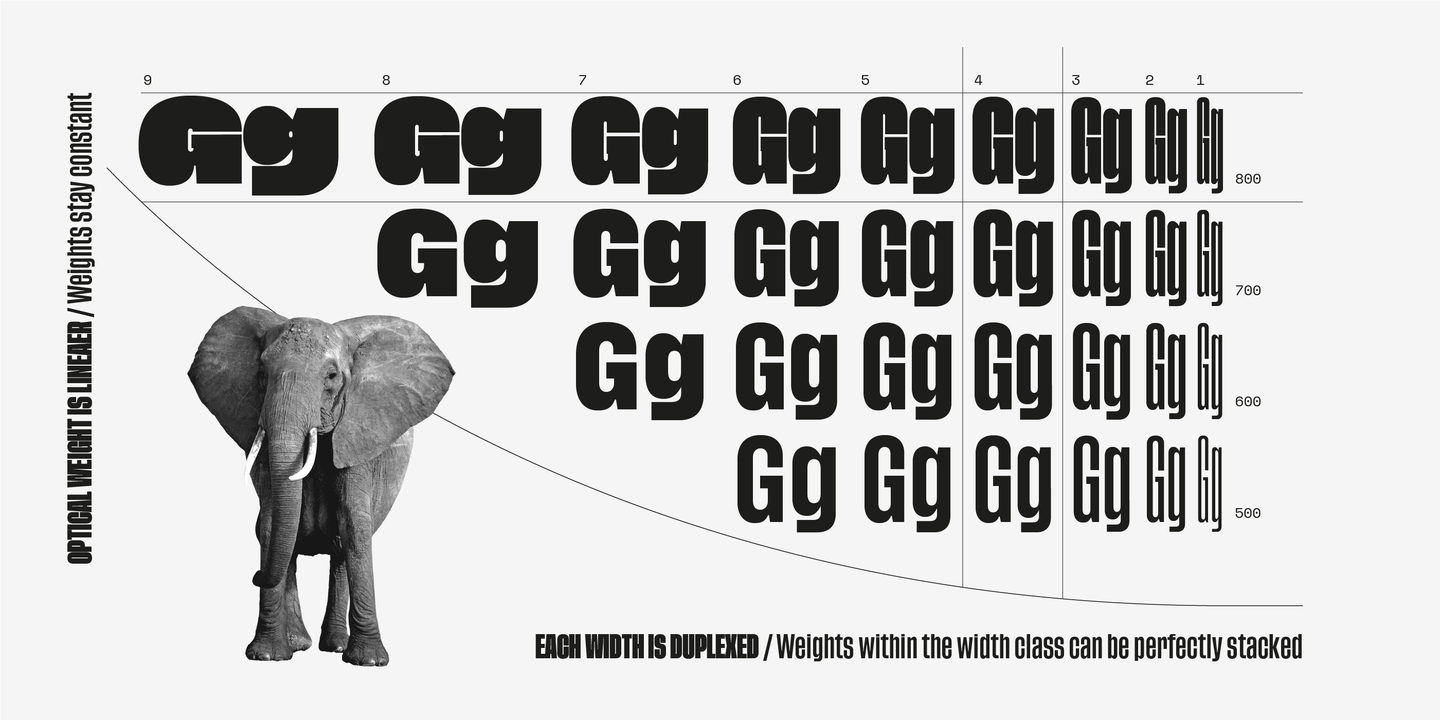 Tusker Grotesk